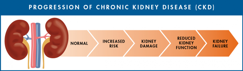 ckd